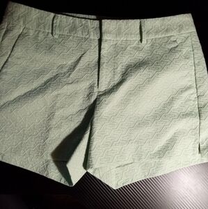 Banana Republic Light Green Textured Shorts